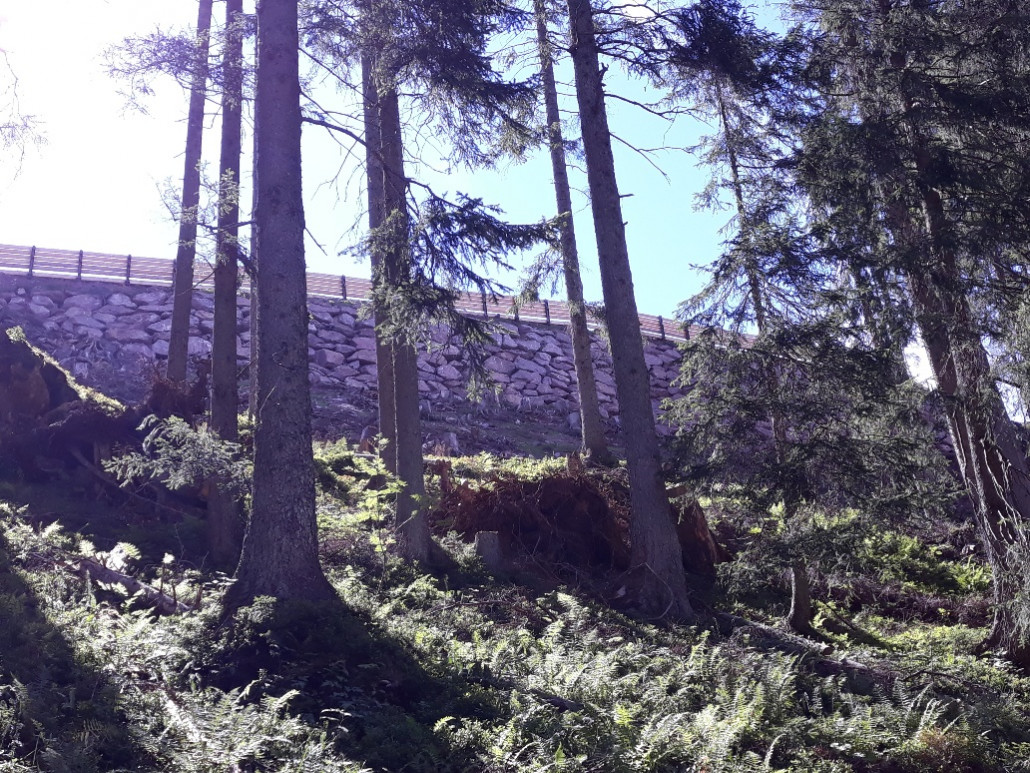 Steinschlichtung für Skiweg neben dem Teich