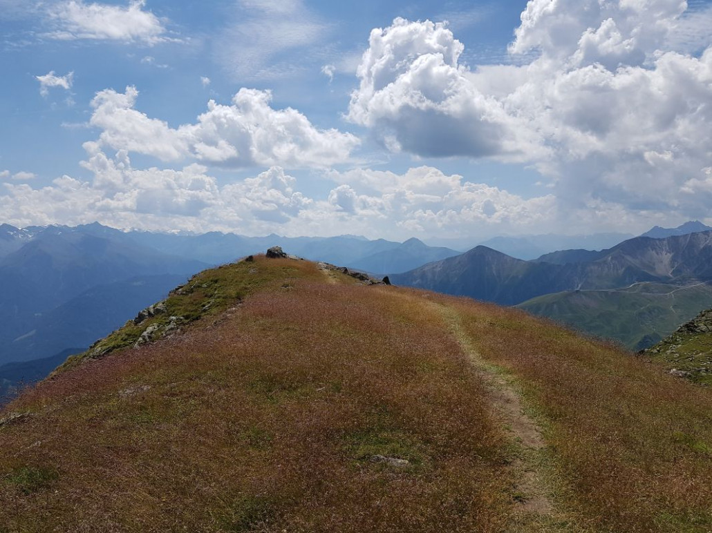 Auch hier war wieder das friedliche Gras am Start. Da denkt man echt nicht, dass man sich auf 2600m befindet!