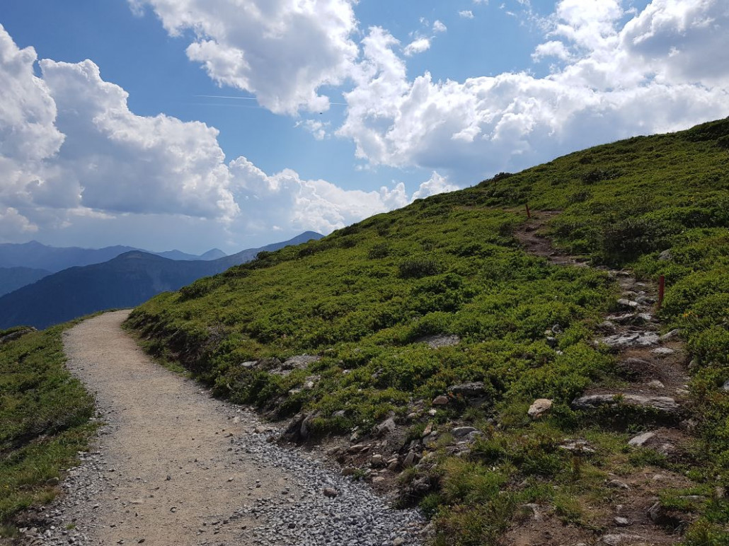 Angekommen am Quellenweg. Rechts kommt der ebenfalls neue Steig hinein, den wir gelaufen sind. Geht doch :D ! Auch im 21. Jahrhundert kann man noch schöne Steige bauen.