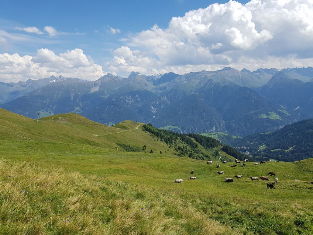Wir liefen aber nicht über die Bergstation der Sattelbahn, sondern bogen vorher rechts ab auf den Sattelsteig.