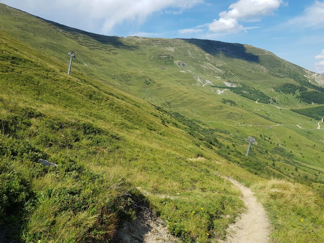 Wieder ein schöner Steig, wieder Murmeltiere zu hören und zu sehen.