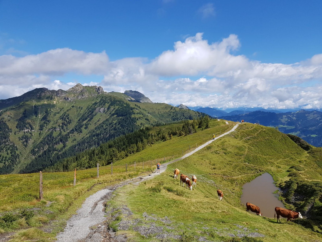Wir starten in die Tour. Immer im Blick ist der spitze Berg, Schuflicker genannt, der das Ziel ist.