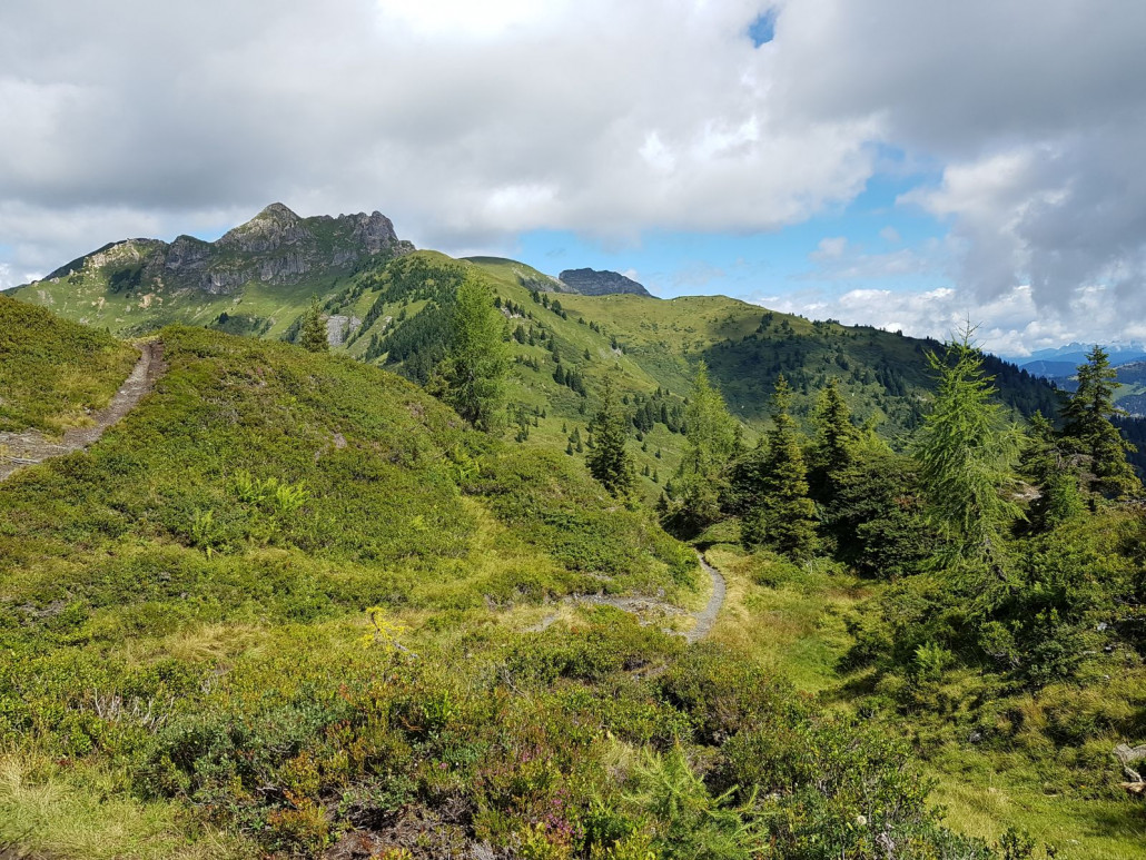 Unser Ziel kommt immer näher, wir nähern uns dem Arltörl. Irgendwo hier soll womöglich schon nächstes Jahr ein Bergstationskomplex zweier Bahnen samt Restaurant hinkommen. Hmm. Aus Skifahrersicht begrüße ich es, aus Sicht der Wanderer eine Katastrophe. Das ist nämlich wirklich ein absolutes Idyll hier!