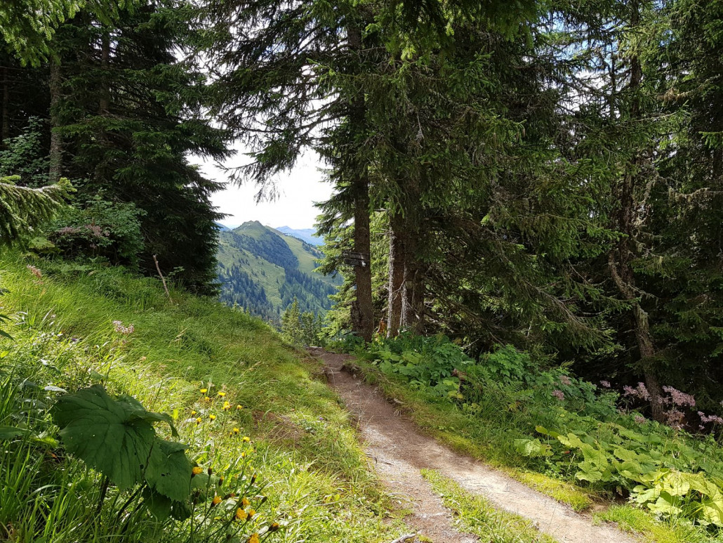 Wir haben das Arltörl bereits passiert und gingen nun über den Goldgräberweg wieder bergauf. Hier ein Rückblick auf das Fulseck.