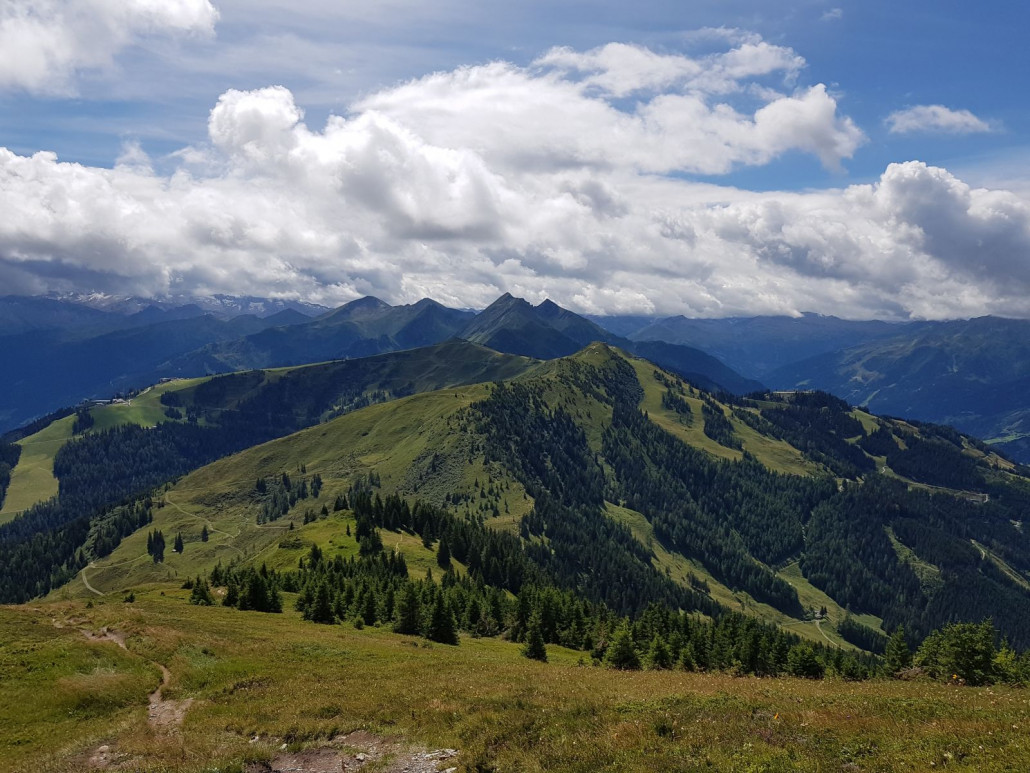 Hier sieht man auch gut unseren bisherigen Steig hoch vom Arltörl und auch den vorherigen zum Törl hinab.