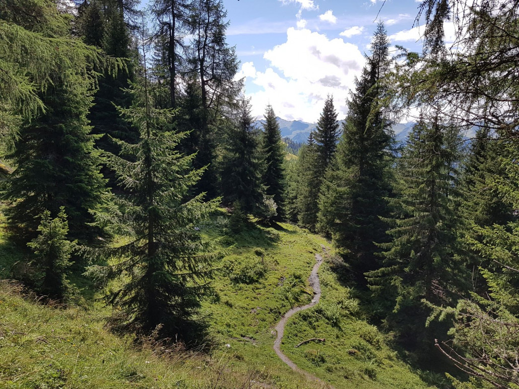 Nach dem Arltörl nahmen wir Kurs auf den Jagasteig. Sehr schön!