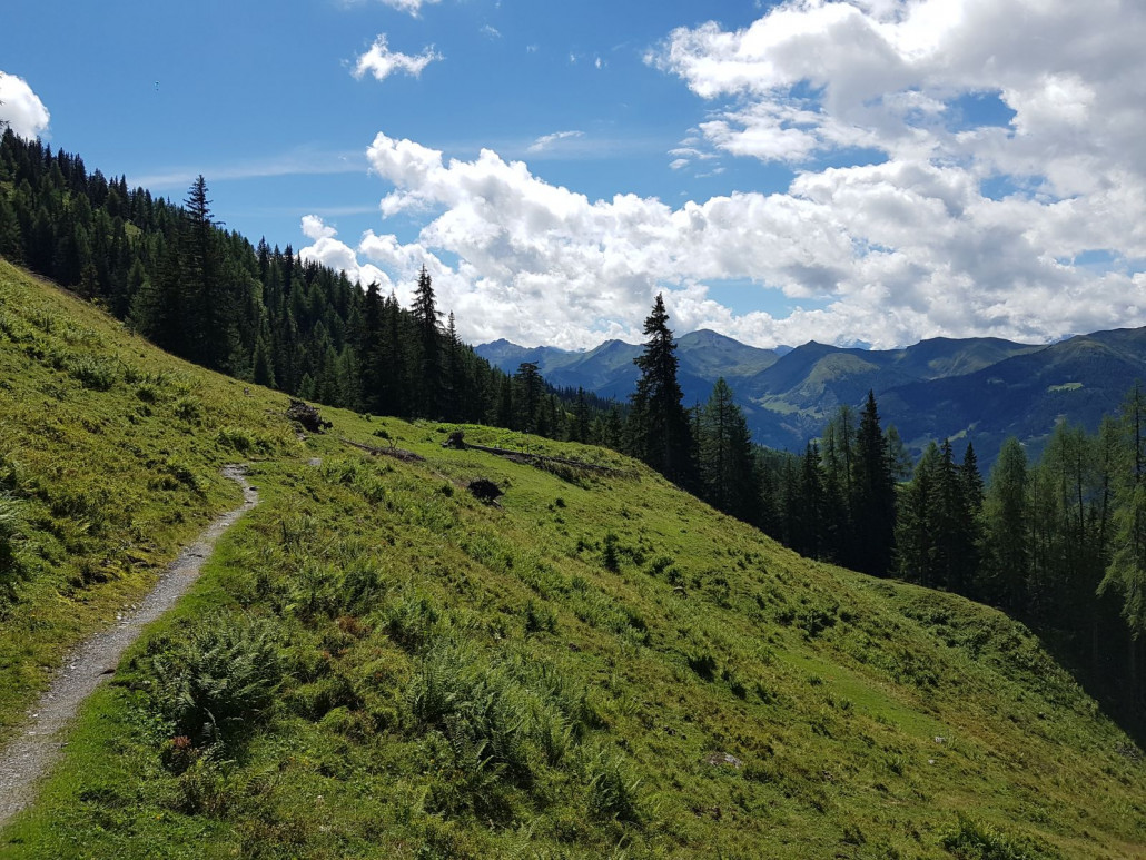 Der Weg verläuft mal durch Wälder, mal über Wiesen. Und er ist gar nicht so kurz wie er auf der Karte aussieht :D