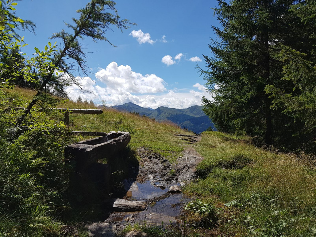 Nach diesem Brunnen trafen wir auf die Skiabfahrt und machten auch gleich eine Einkehr in der Grabneralm gegen 14.45 Uhr.