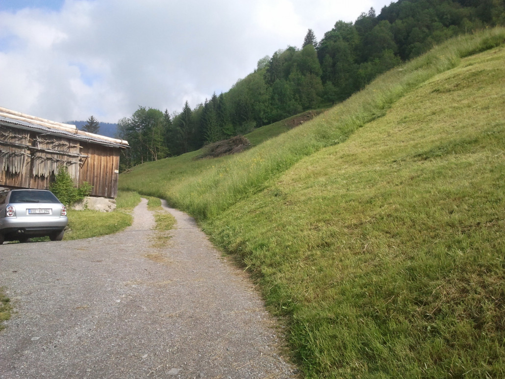 2013-06-09 09.22.05.jpg