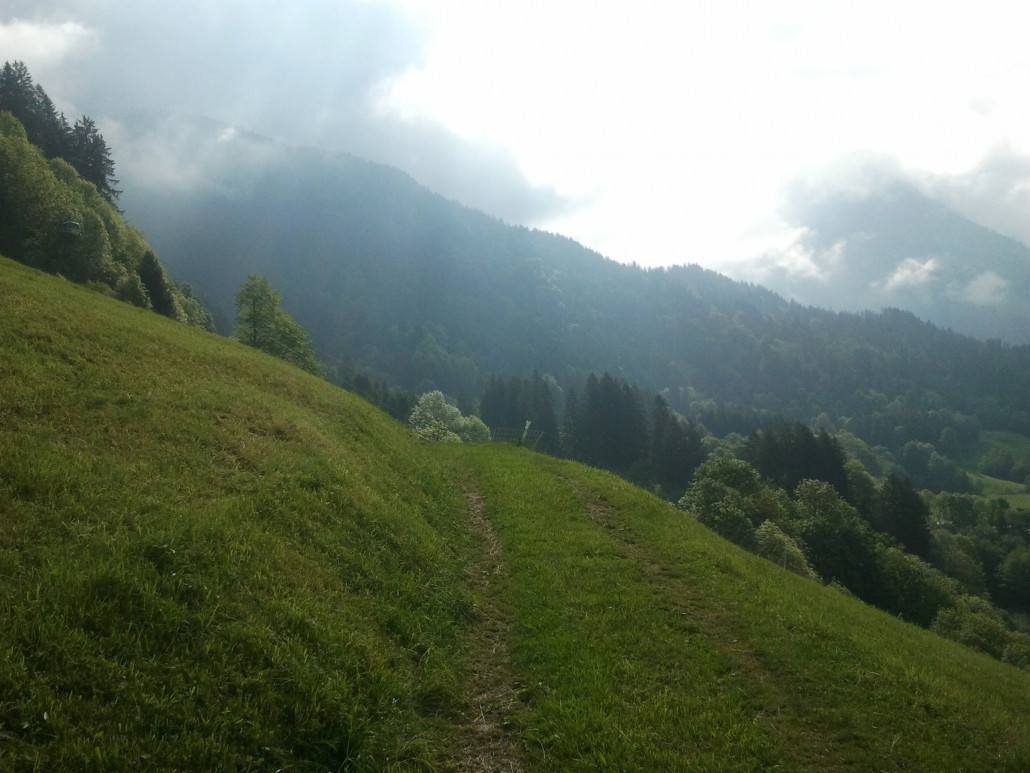 2013-06-09 09.22.08.jpg