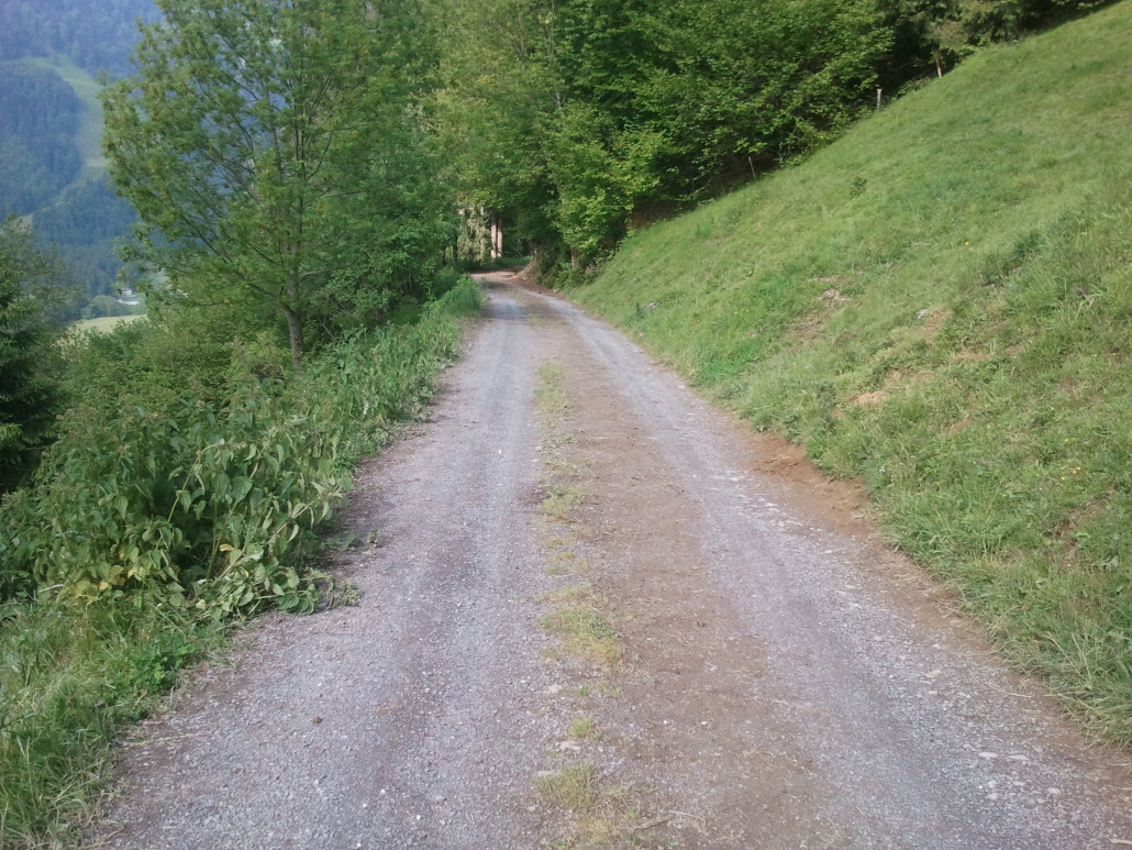 2013-06-09 09.36.09.jpg