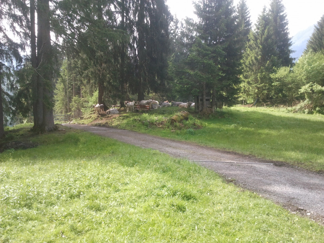 2013-06-09 09.53.07.jpg