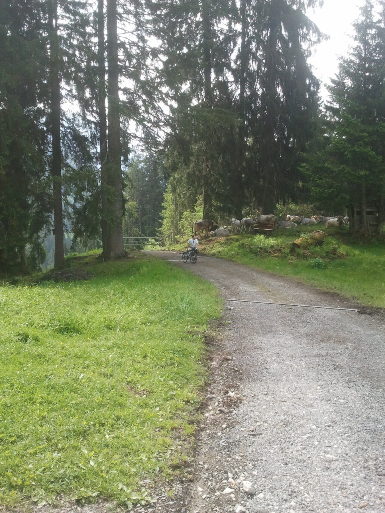 2013-06-09 09.58.23.jpg