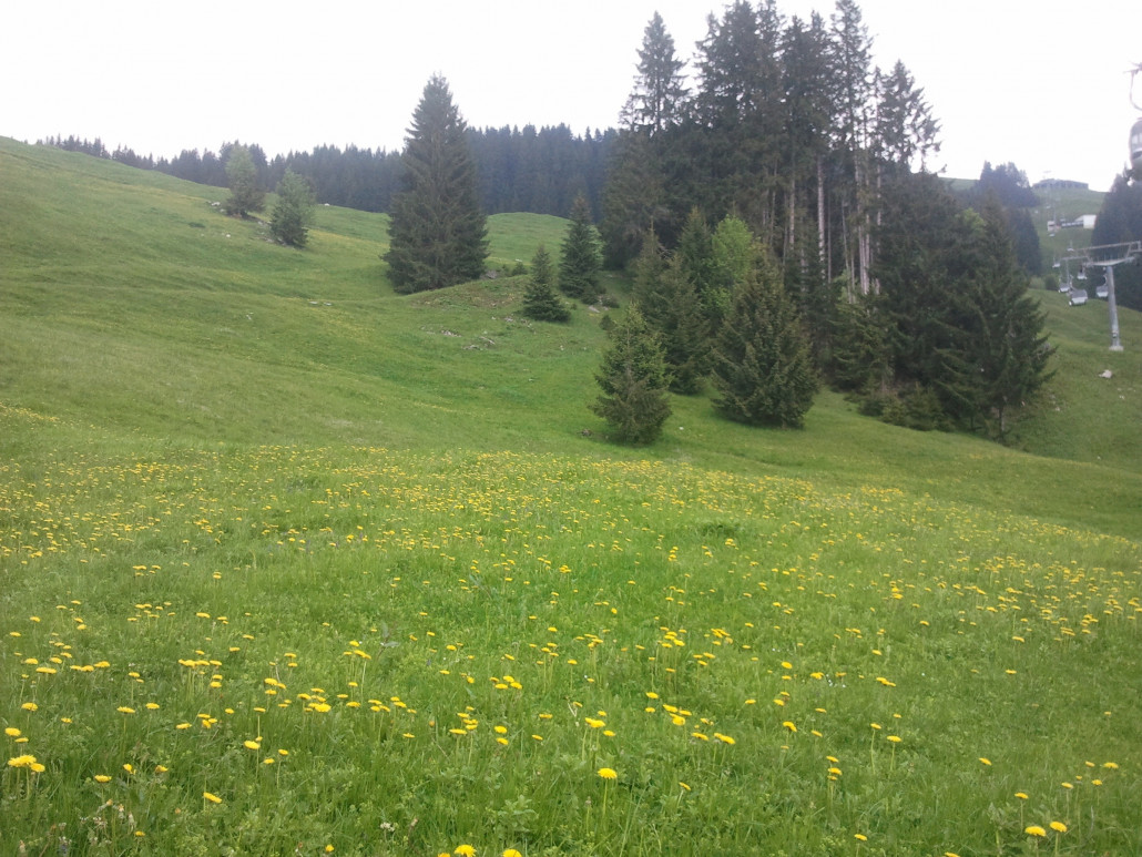 2013-06-09 10.34.13.jpg