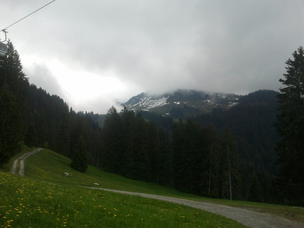 2013-06-09 10.34.33.jpg