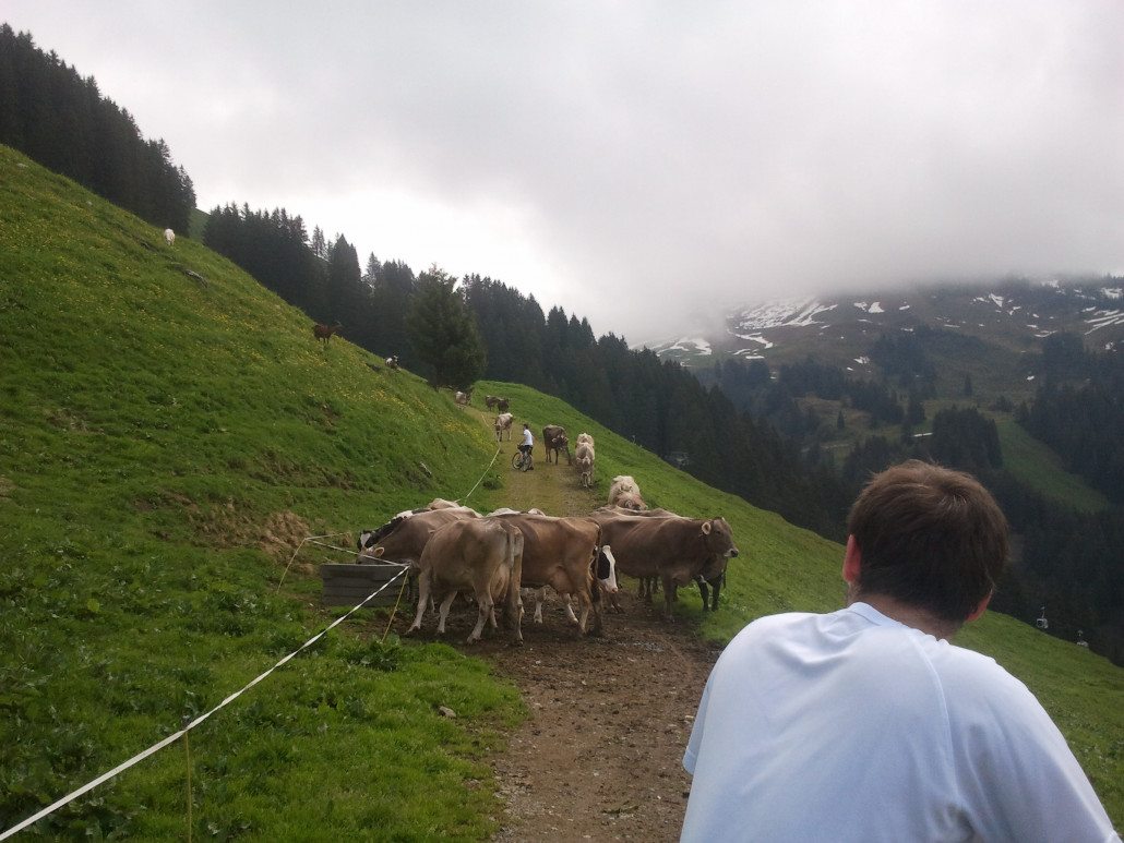 2013-06-09 10.56.05.jpg