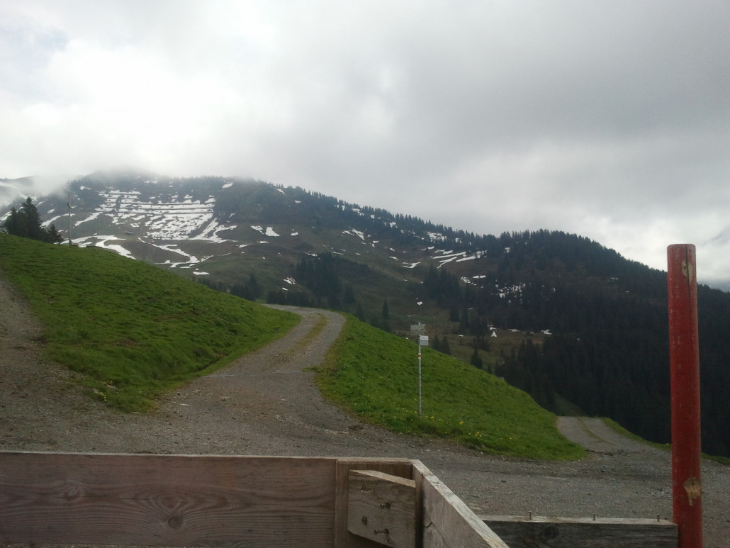 2013-06-09 11.21.27.jpg