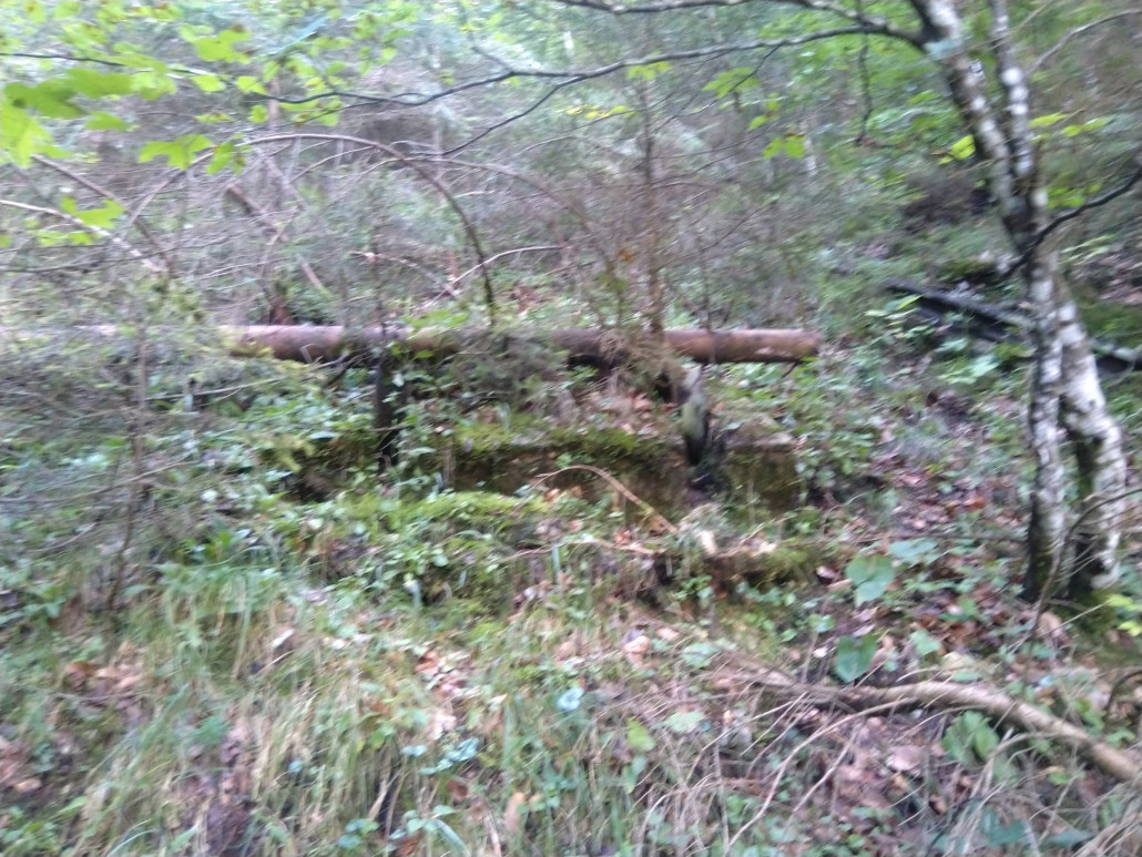 Das zweite, obere Paar