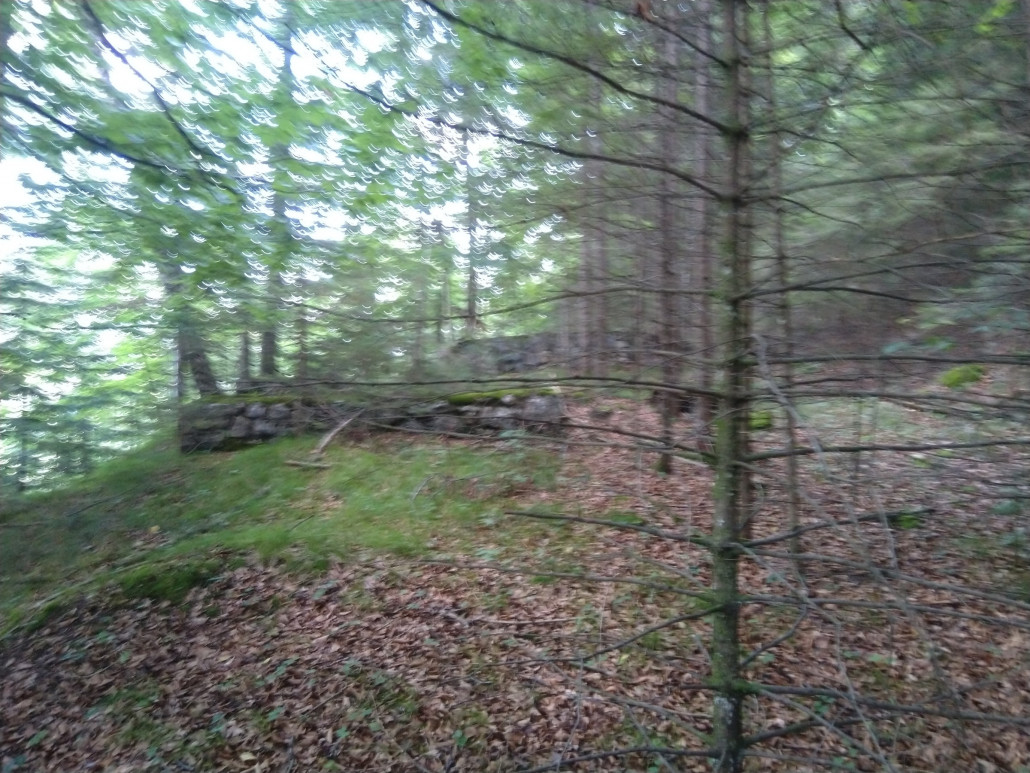 Die Beiden Fundamente