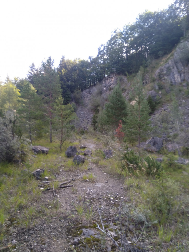Die Fortsetzung des "Fahrtweges". Der Steinehaufen am Ende ist etwas suspekt
