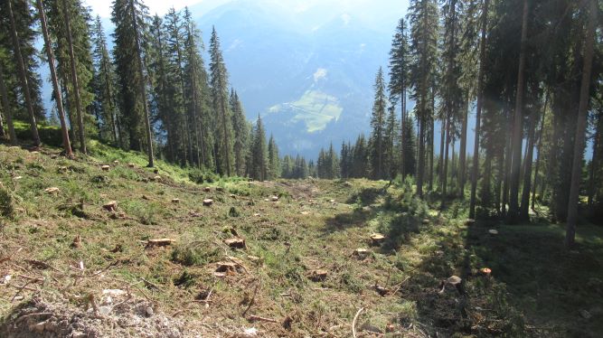 Stand 15.09. Definitiv rot, aber breit genug