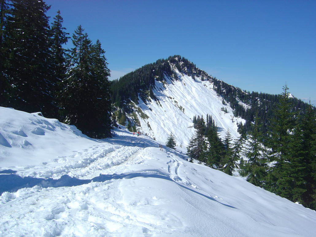 Skiweg zum Nordhang