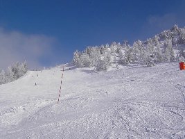 Piste des 4Bubble Bubble Shuttle in Kleinarl.