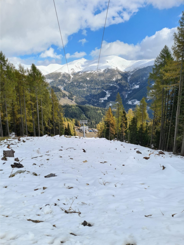 thumbnail_processed (4).jpg