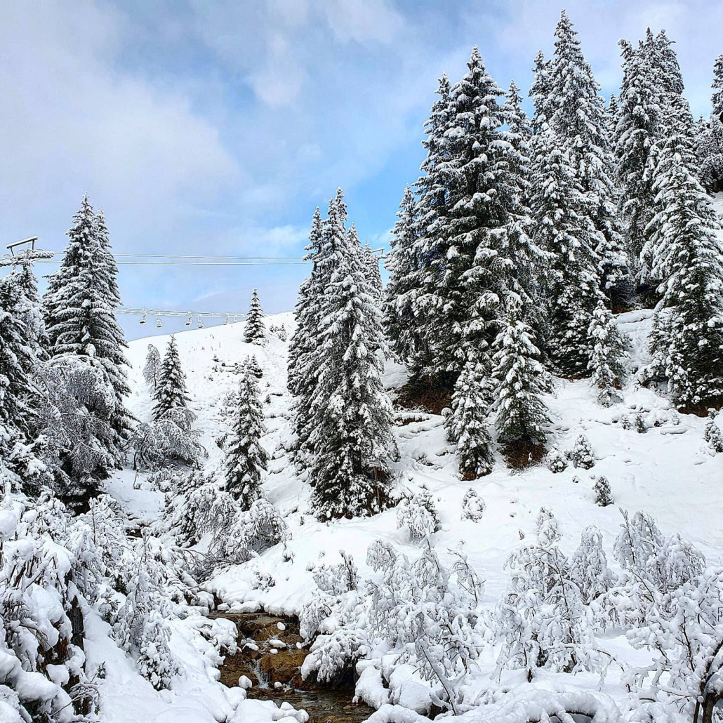 Neuschnee_Oktober_2020_LZTG_by_Markus_Hahn (2).jpg