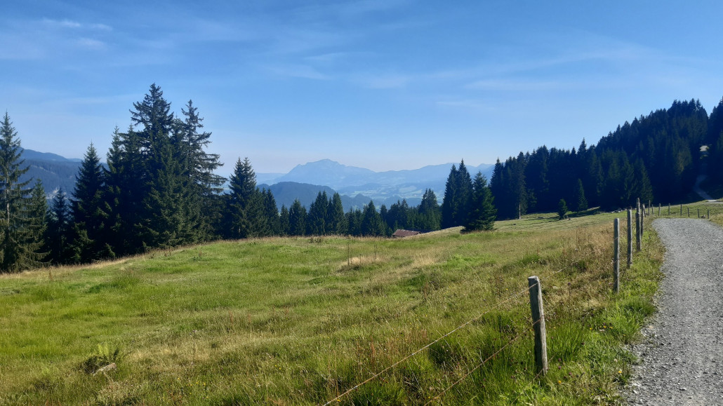 weiterer Verlauf des Höhenweg zum Söllereck mit Blick Richtung Allgäu. In der Bildmitte müsste der Grünten zu sehen sein