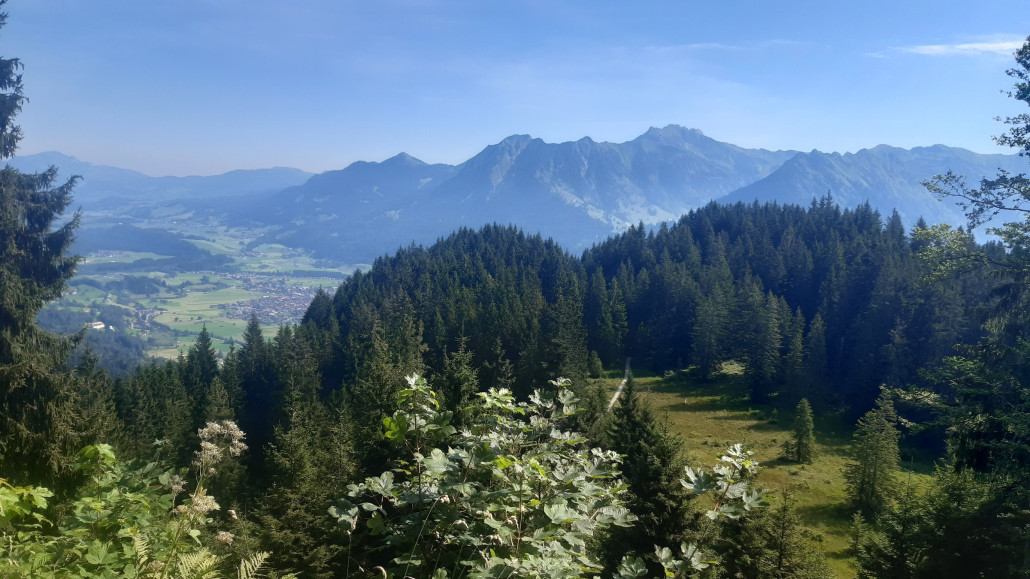 Auf dem Weg zur Sölleralpe mit Blick auf Oberstdorf bzw. das Nebelhorn