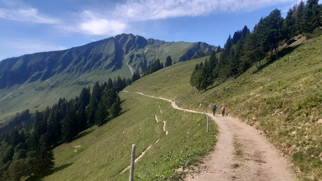 weiterer Verlauf zur Sölleralpe. Hinten sieht man schon den Grat auf dem es später entlang geht
