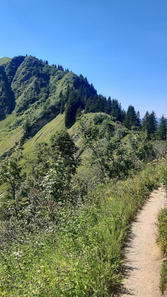 endlich oben. jetzt geht es steht an diesem Grat entlang. Immer als kleiner Pfad mit sehr schönen Ausblicken
