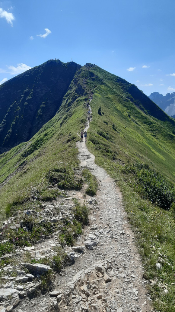 die letzten Meter Richtung Fellhorngipfel