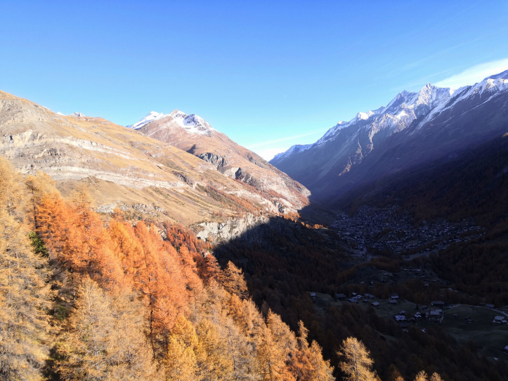 Die Lärchen sind schön goldig.