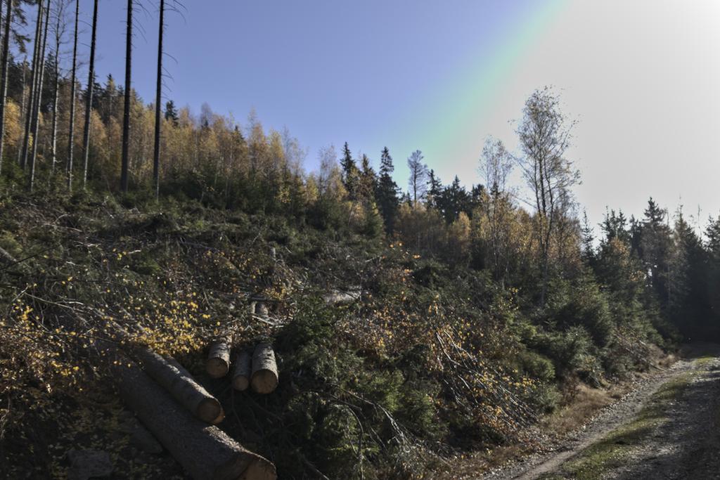 Piste stößt auf den Weg