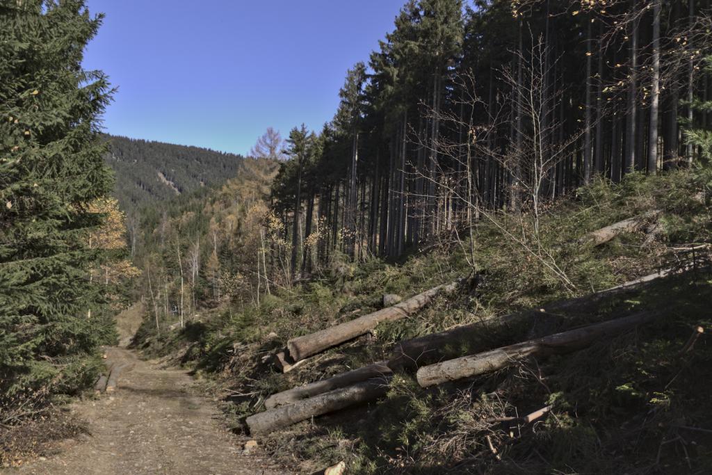 Blick Richtung Jachymovska / Lift / Schirmbar