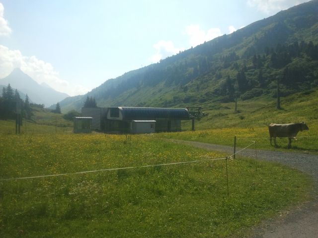 2013-07-21 10.16.12.jpg