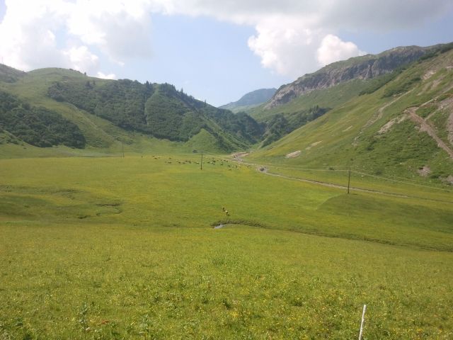 2013-07-21 11.03.15.jpg