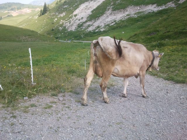 2013-07-21 11.07.44.jpg