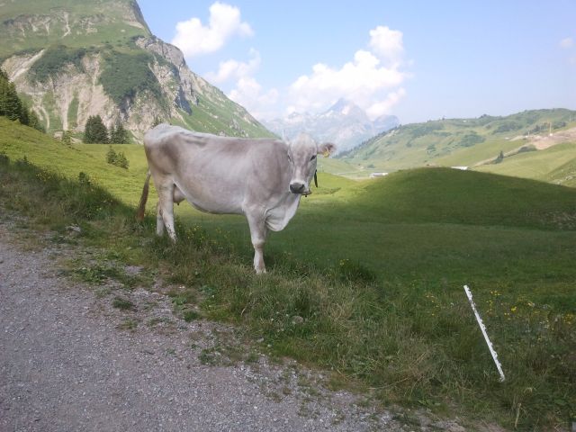 2013-07-21 11.07.47.jpg