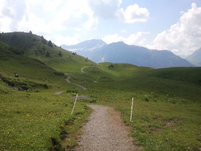 2013-07-21 11.19.15.jpg