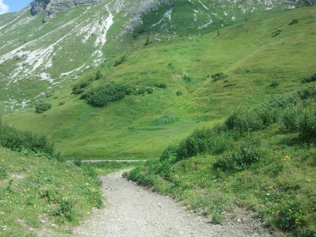 2013-07-21 11.19.22.jpg