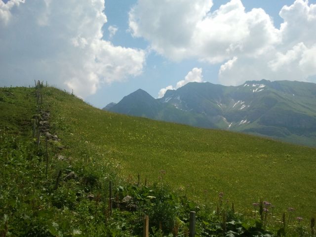 2013-07-21 12.10.42.jpg