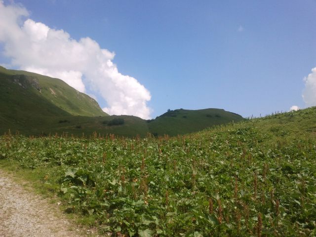 2013-07-21 12.10.59.jpg