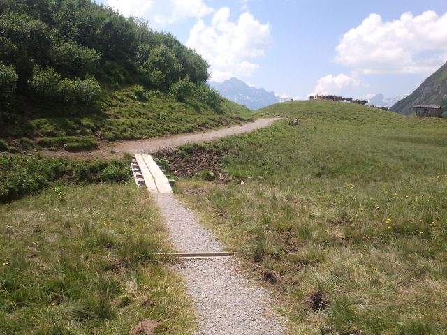 2013-07-21 12.17.53.jpg