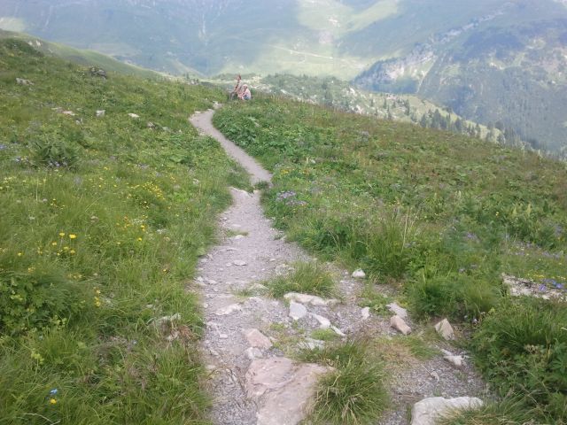 2013-07-21 12.46.17.jpg