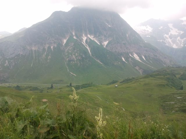 2013-07-21 14.29.48.jpg