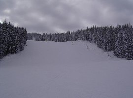 Piste 3 (Muldenliftabfahrt).
