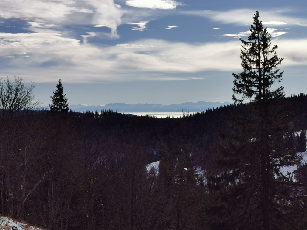 Alpensicht: Die Glarner Alpen über dem Nebelmeer des Schweizer Mittellandes